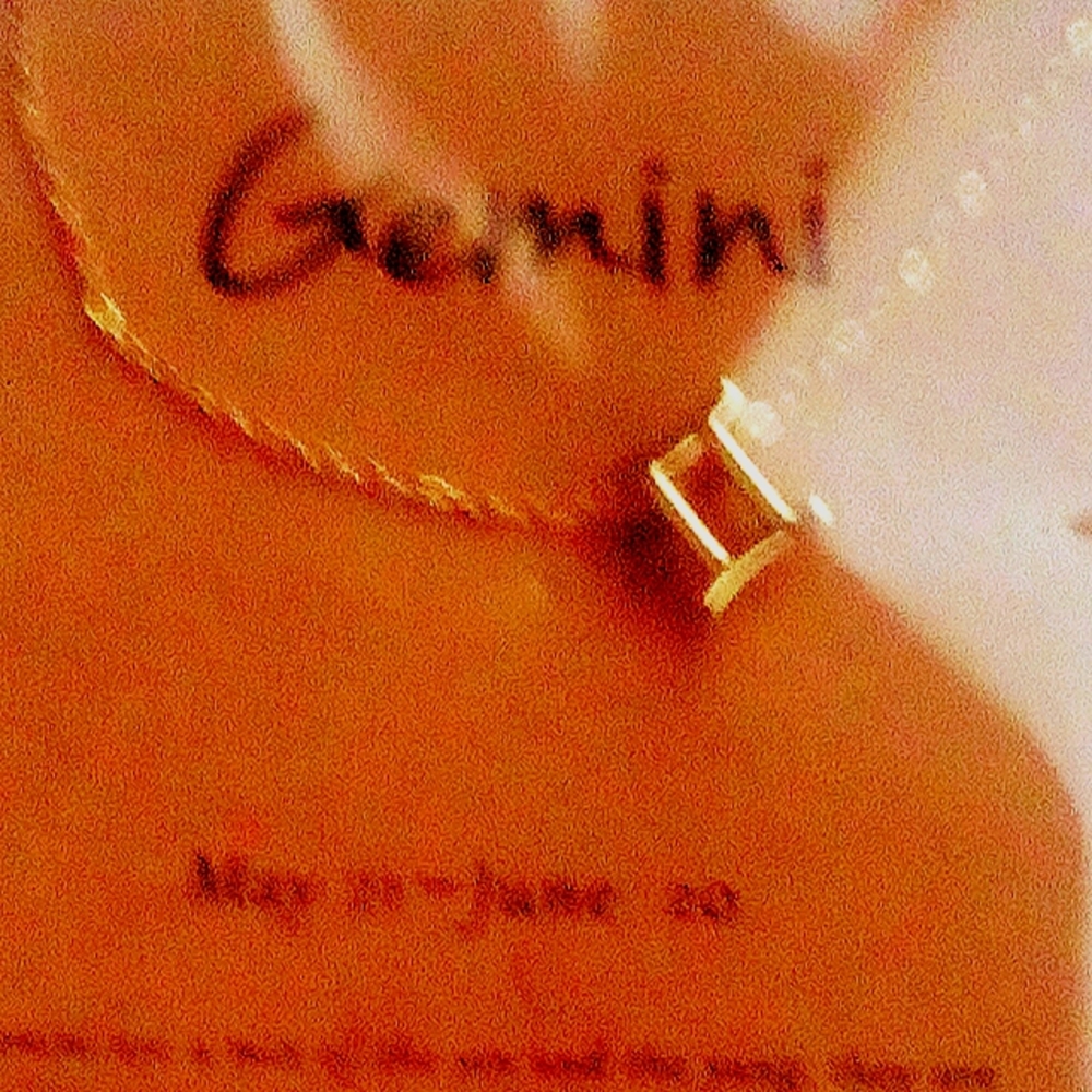 Zodiac Charm And Chain Gemini
